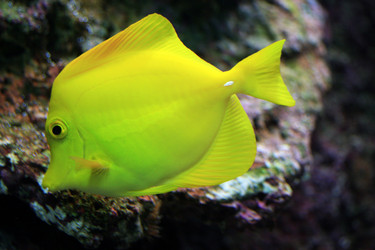 Similar image 10456646