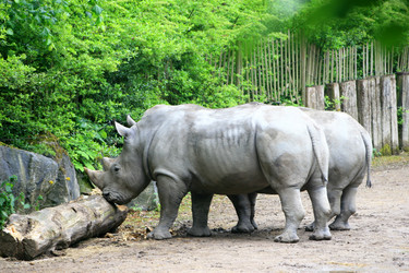 Similar image 10456648