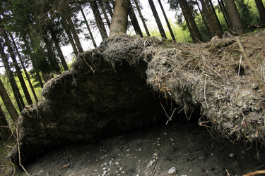 Similar image 10456650