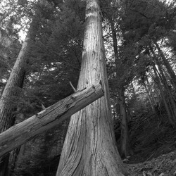 Similar image 10456651