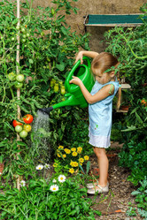 Similar image 10456677