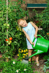 Similar image 10456681