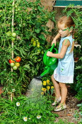 Similar image 10456682