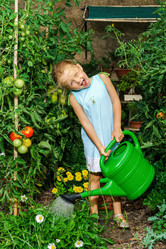 Similar image 10456683