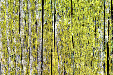 Similar image 10456695