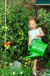 Similar image 10456701