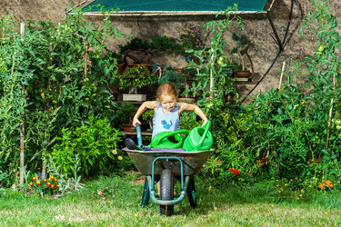 Similar image 10456705