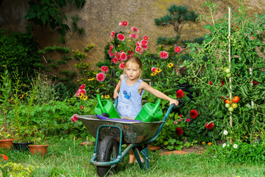 Similar image 10456710