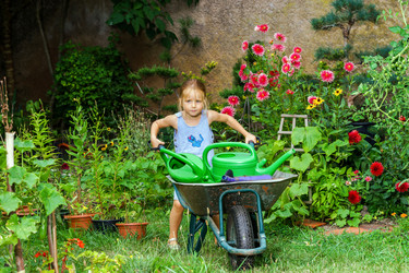 Similar image 10456713