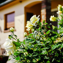 Similar image 10456722