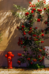 Similar image 10456735