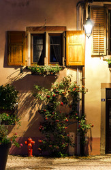 Similar image 10456741