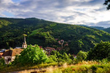 Similar image 10456743