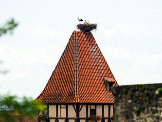 Similar image 10456744