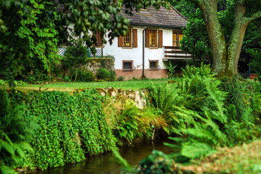 Similar image 10456758