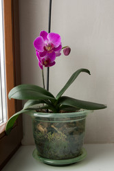 Similar image 10456989