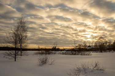 Similar image 10456991