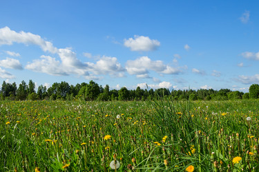 Similar image 10456992