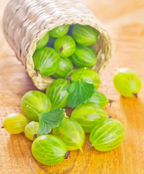 Similar image 10457302