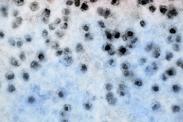 Similar image 10457515