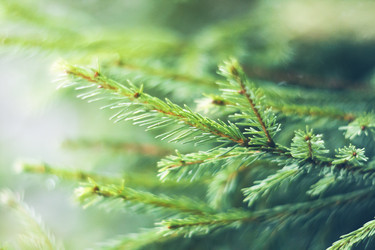 Similar image 10457532