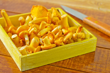 Similar image 10457539