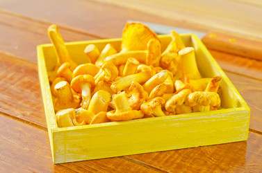 Similar image 10457541