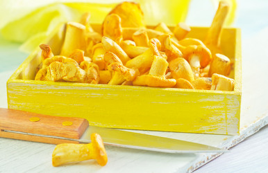 Similar image 10457545