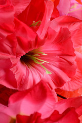 Similar image 10457570