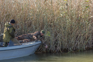 Similar image 10457577