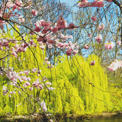 Similar image 10457596