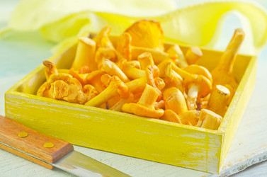 Similar image 10457608