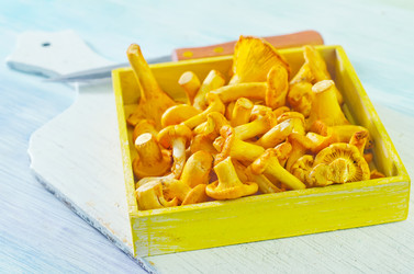 Similar image 10457609