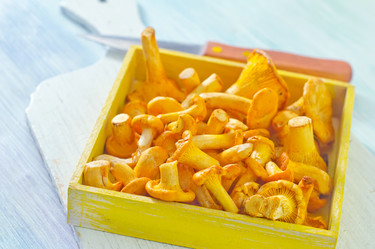 Similar image 10457611