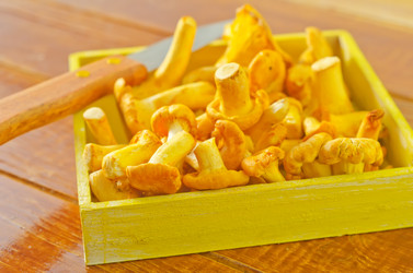 Similar image 10457658