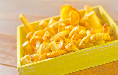 Similar image 10457659