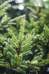 Similar image 10457863