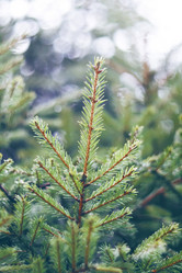 Similar image 10457864