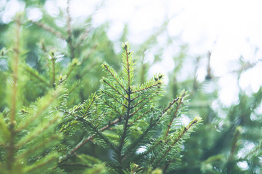 Similar image 10457865