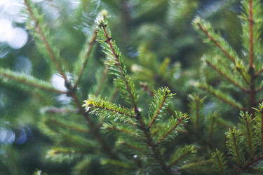 Similar image 10457866