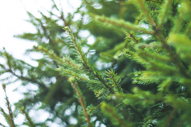 Similar image 10457867