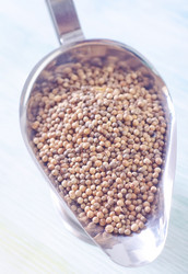 Similar image 10457979