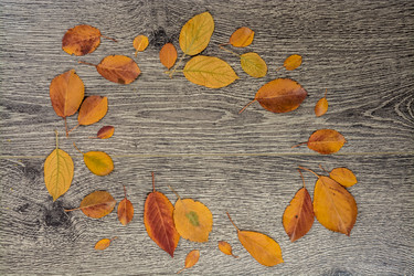 Similar image 10458127