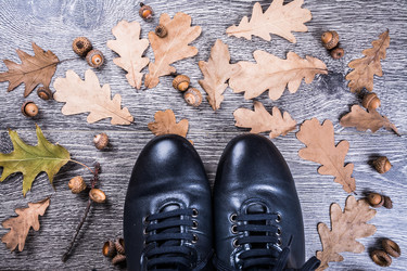 Similar image 10458131