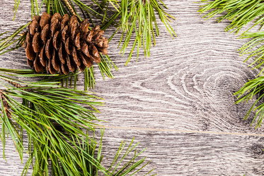 Similar image 10458205