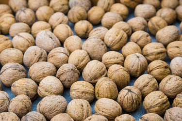 Similar image 10458209