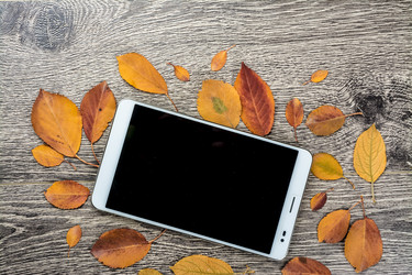 Similar image 10458230