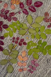 Similar image 10458234