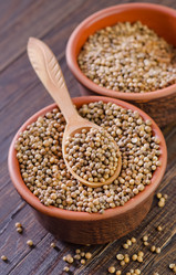 Similar image 10458343