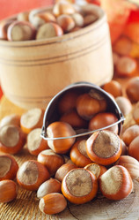 Similar image 10458794